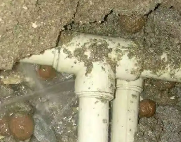 碧江测漏水多少钱