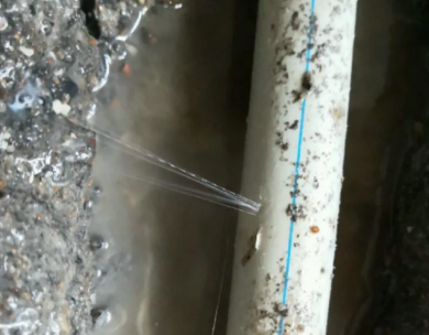 碧江测漏水哪家好