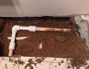 碧江测漏水哪家好