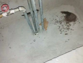 碧江卫生间测漏水价格明细