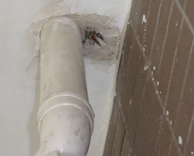 碧江漏水检测哪家好